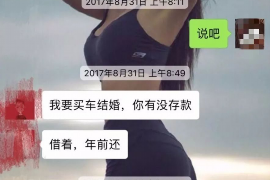 林州为什么选择专业追讨公司来处理您的债务纠纷？